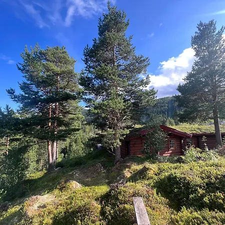 Timber Lodge In Uvdal Skisenter View/Wifi Sonstebo Room photo